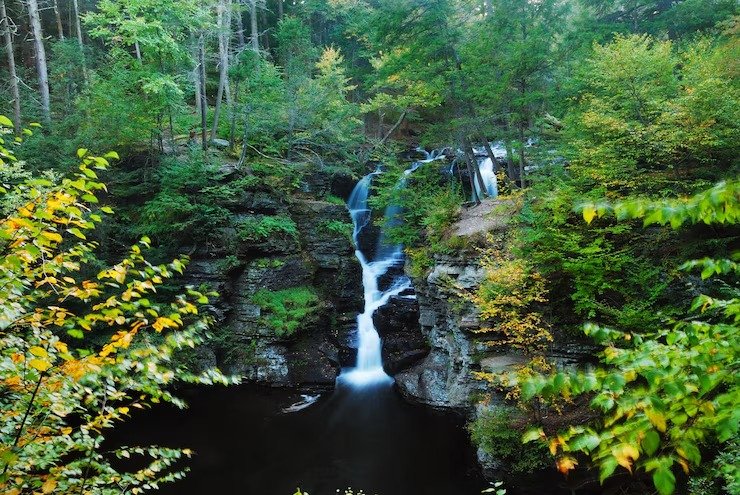 Bear Shola Waterfall view